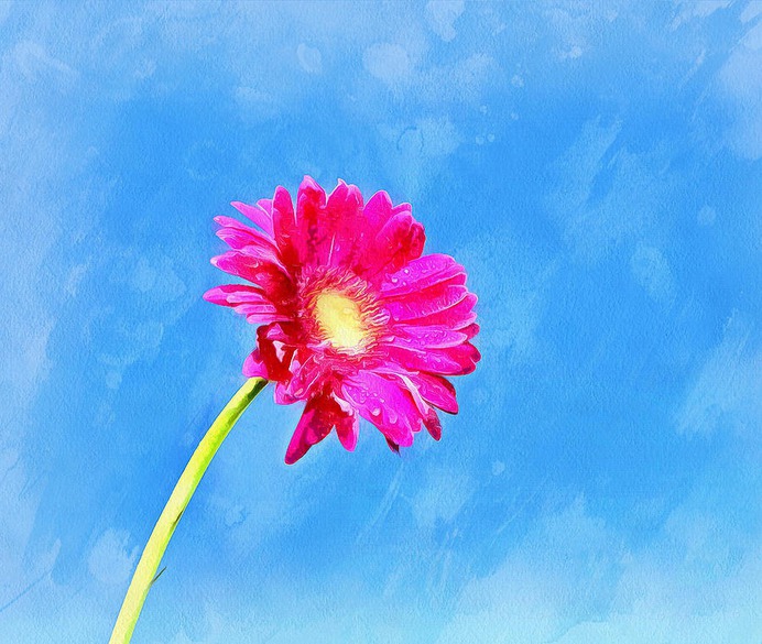 daisy painting & daisy paint by number #painting