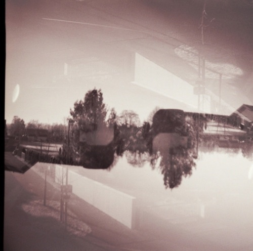 manuelnieberle. #photograpphy #analogue #nieberle #mini #manuel #diana