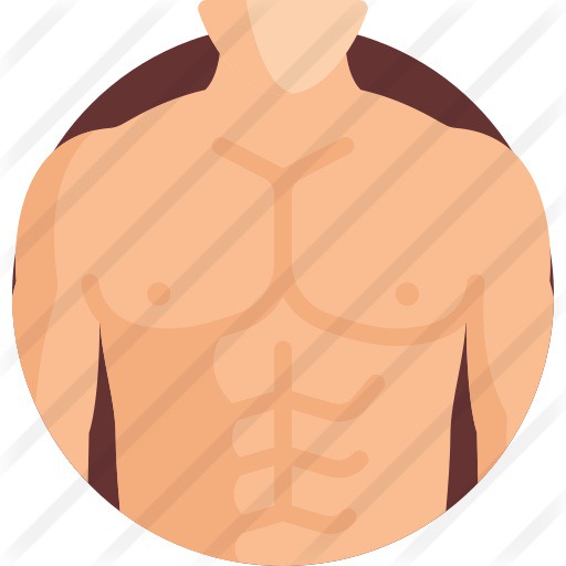 See more icon inspiration related to healthcare and medical, anatomy, abs, fitness, body parts, waist, beauty, diet, muscles, fit, body, medical, healthy and man on Flaticon.