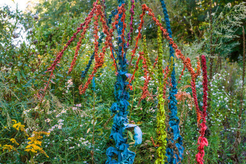 'Exaggerations' by Jackson Hallberg | PICDIT #photo #color #photography #colour #plant