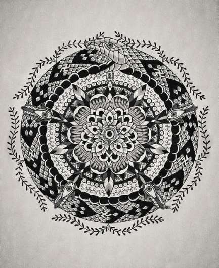 V | Flickr – Condivisione di foto! #white #black #snake #and #flower #geometrical