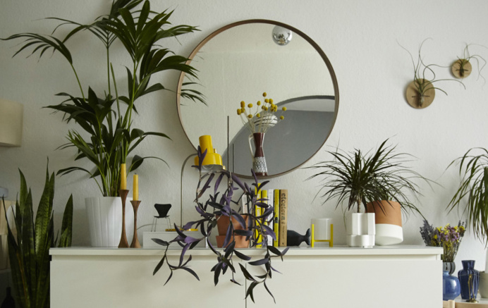 Home furnishing with plants and yellow hints, @ Igor's on www.happyinteriorblog.com