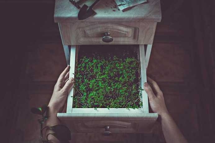 Still Life Photography by Dina Belenko #inspiration #photography #still #life