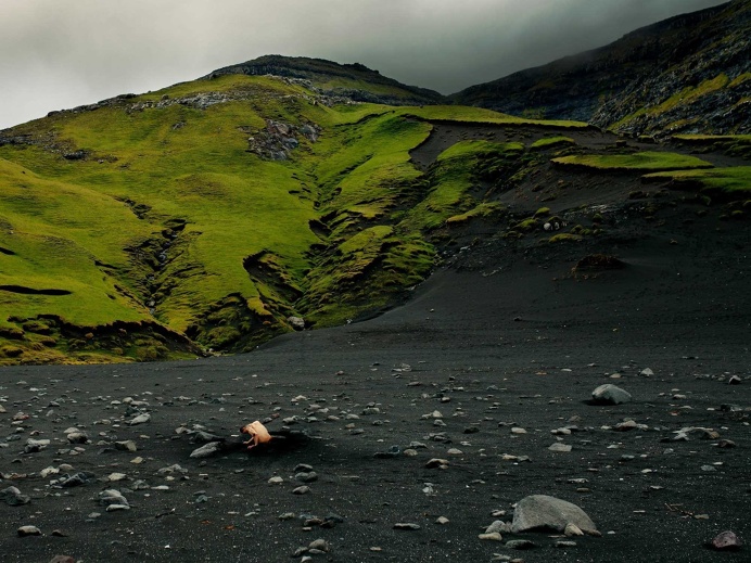 Majestic and Fine Art Self-Portrait Photography by David Uzochukwu