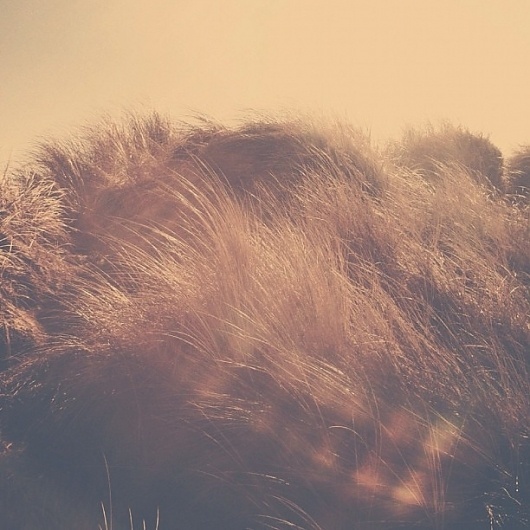 B3PO | Untitled #photography #nature #instagram #landscapes #b3po