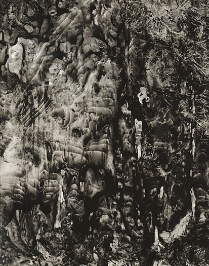 Enrico Donati: A Centennial Retrospective #decalcomania #donati #painting