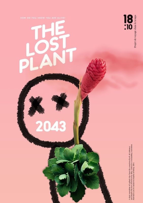 #cover #poster #pink #abstract #design #doodle #plant