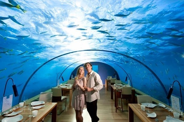 Artistic restaurant – inspiring view from underwater restaurant Ithaa #artistic #view #underwater #restaurant