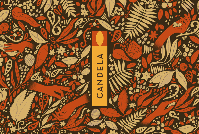Illustrative Chocolate Wrappers Showcase the Biodiversity of Peru — The Dieline | Packaging & Branding Design & Innovation News