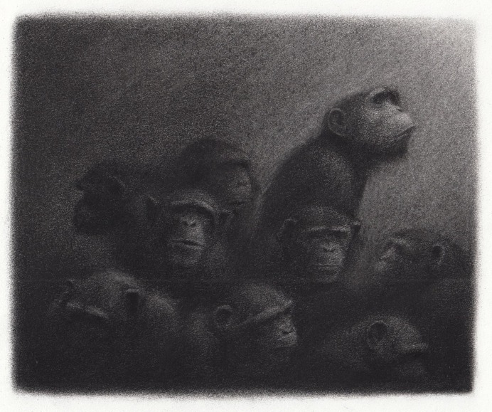 ilustracion en blanco y negro de simios david alvarez