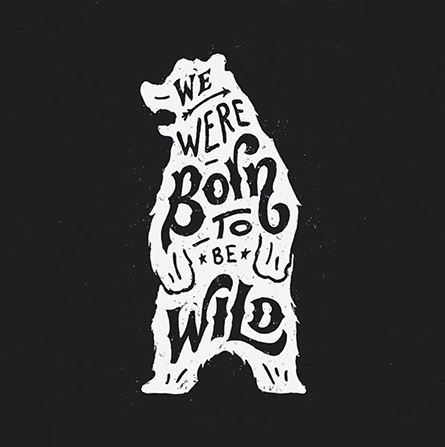 bear, born, wild, black, white, black and white, arrow