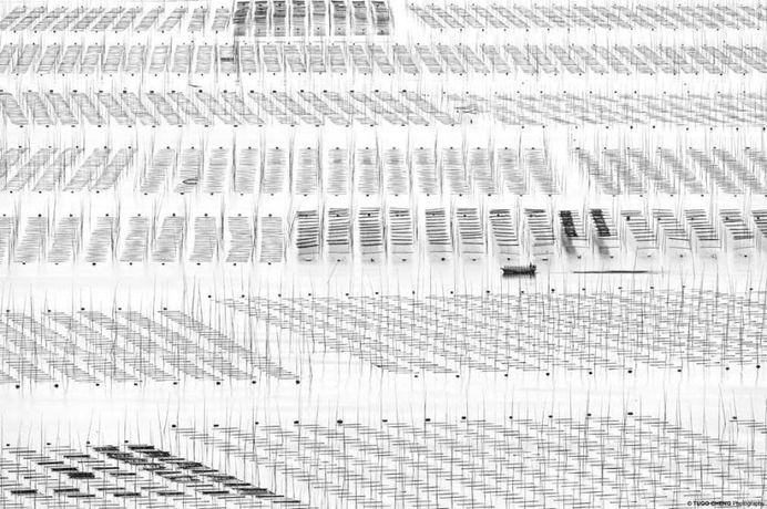 Unknown China: Coastal Geometries of Bamboo Worlds by Tugo Cheng