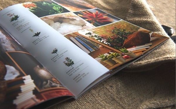 Artwork by www.o-zone.it #decor #home #catalogue #product #plant