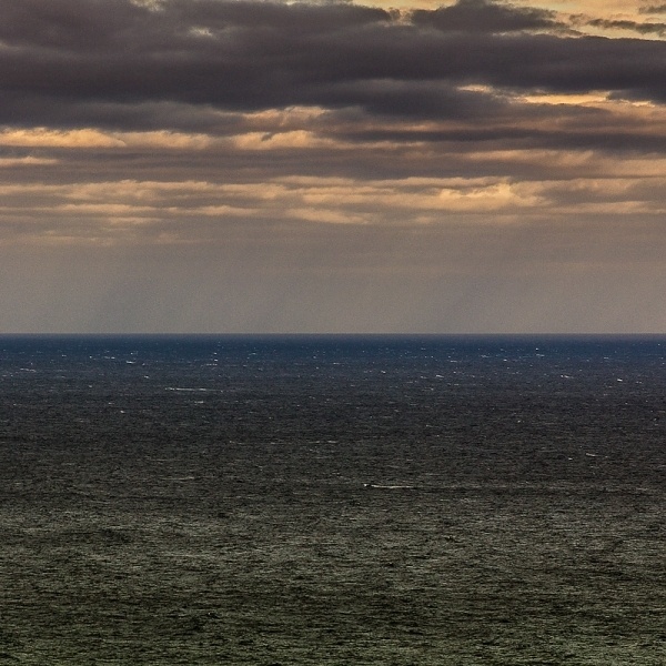 two halves #foto #photography #twohalves #art