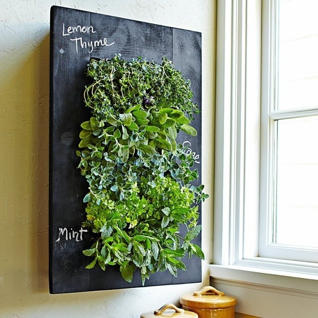 GroVert Chalkboard Wall Planter #tech #flow #gadget #gift #ideas #cool