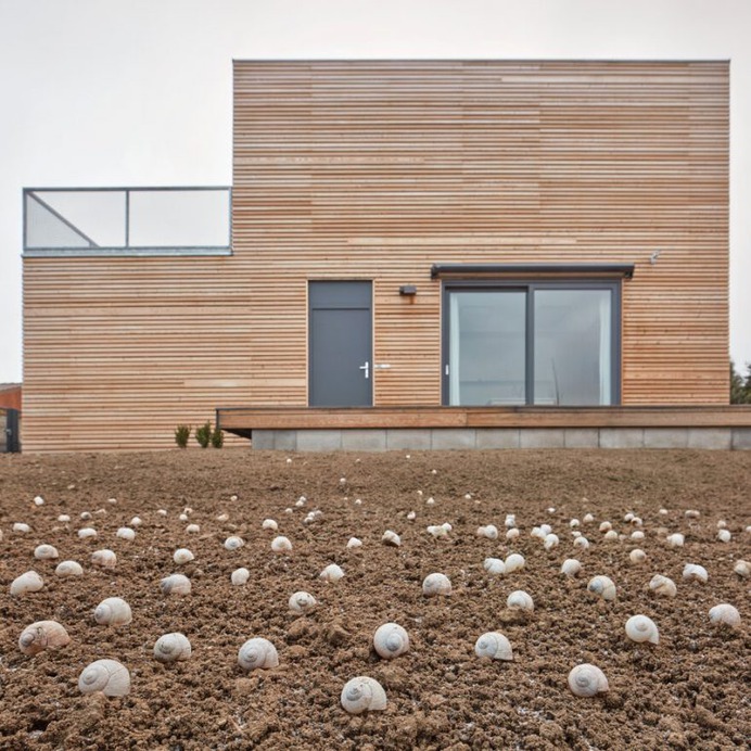 A Wooden Modular Family House That Was Built in One Day