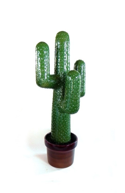Mazzotti Ceramics #ceramic #cactus