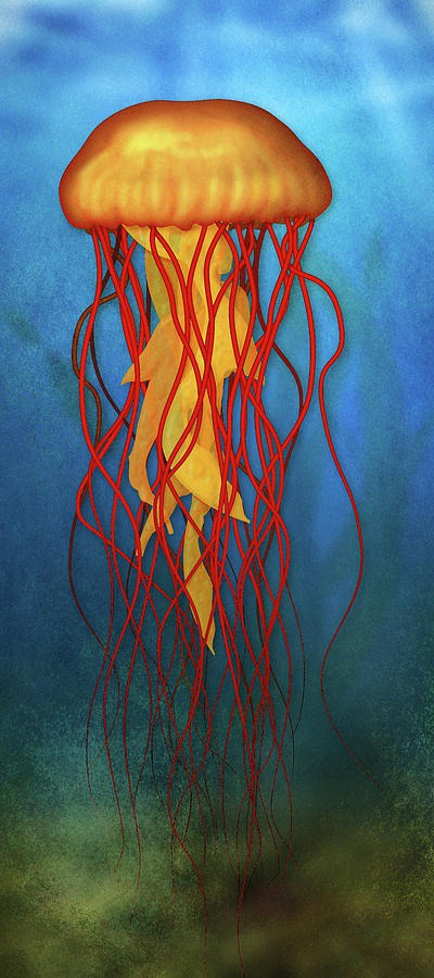easy jellyfish painting & jellyfish paint by numbers