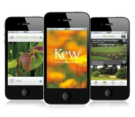 Make It Clear creates Kew Gardens app | News | Design Week #gardens #app #skew #kew