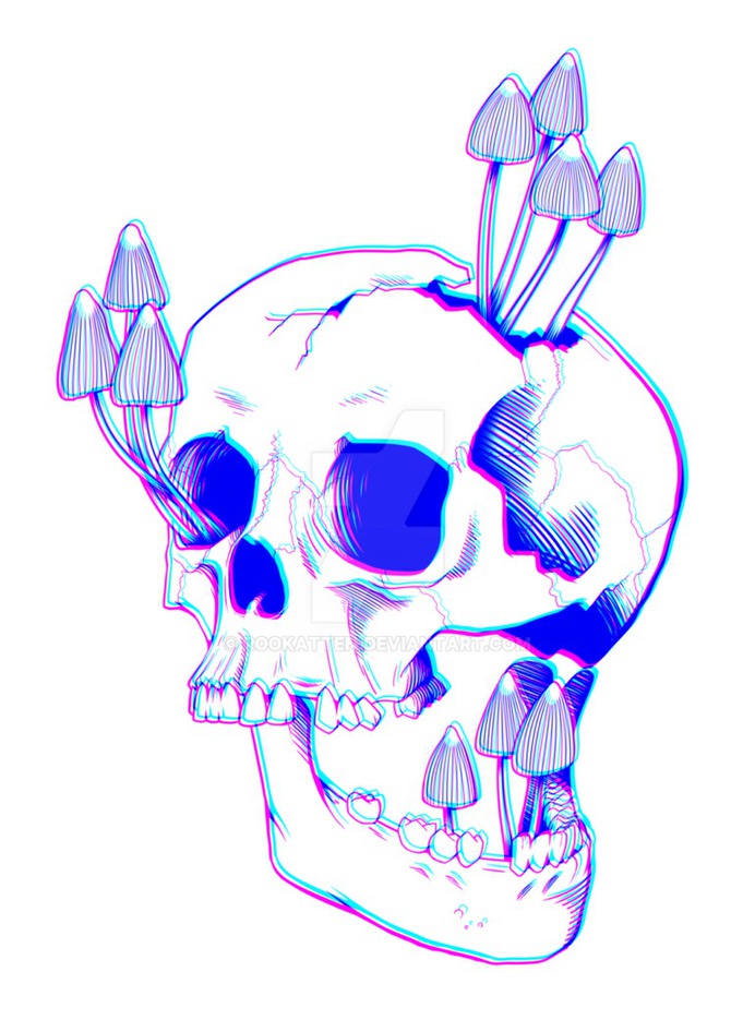 Neon Liberty Skull by Rookatten