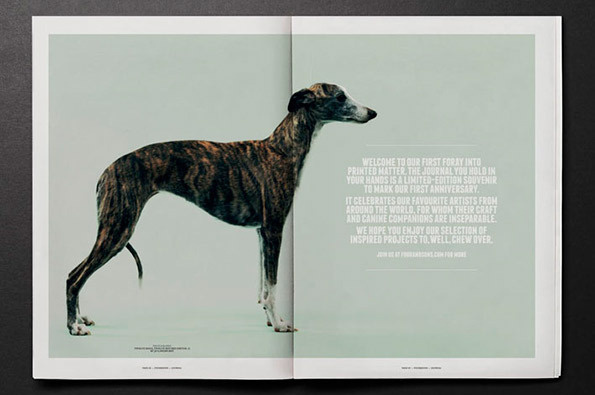 Fourandsons_p0203_intro #whippet #canine #design #graphic #greyhound #photography #animal #dog