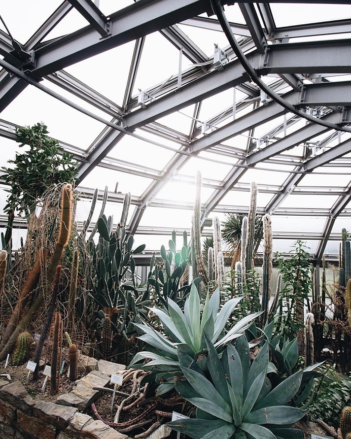 #berlin #vintage #green #plants #nature #botanic #botanicgarden #garden #architecture #light #white #photography