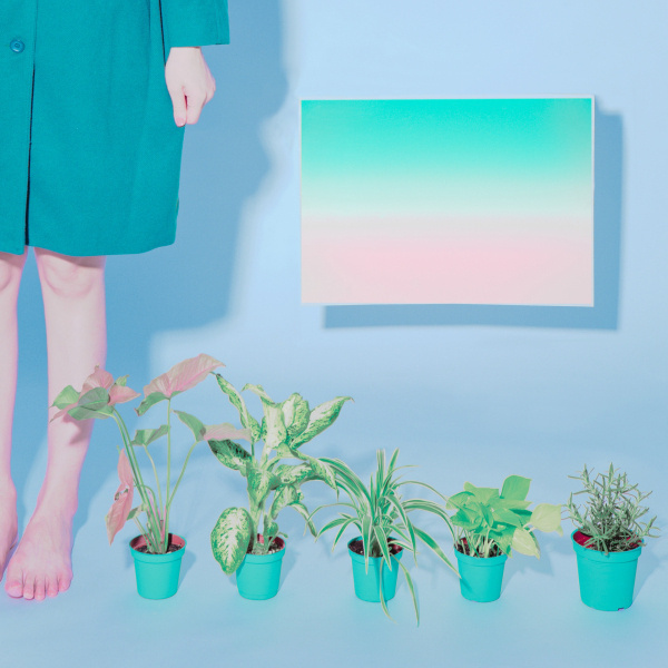 Sydney Sie | PICDIT #photo #color #design #photography #art #artist #paper