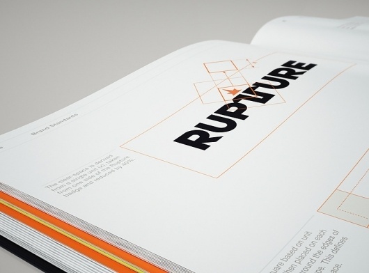 Postmammal #branding #guide #guidelines #corporate #identity #style