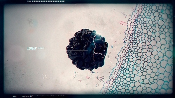 Sebastian Onufszak: Nike #nike