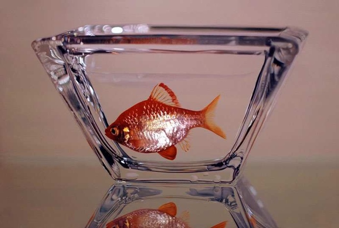 Hyperrealistic Oil Paintings by Young-Sung Kim
