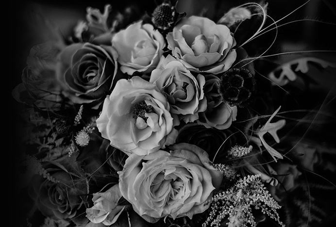 Vega & Vega by Menta . #mark #nature #flowers #blackandwhite #photography