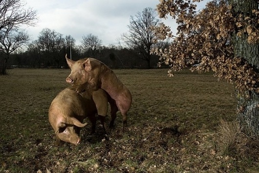 Photography by Luca De Marchi » Creative Photography Blog #photography