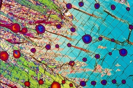 sanödox: Have you Ever Wondered How Alcoholic Drinks Look Like Under The Microscope? #microscopic #photography #vodka