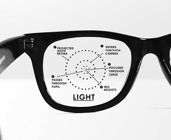 We Love Infographics — Seeing by Philip DiBello #science #datavis #we love infographics #philip dibello