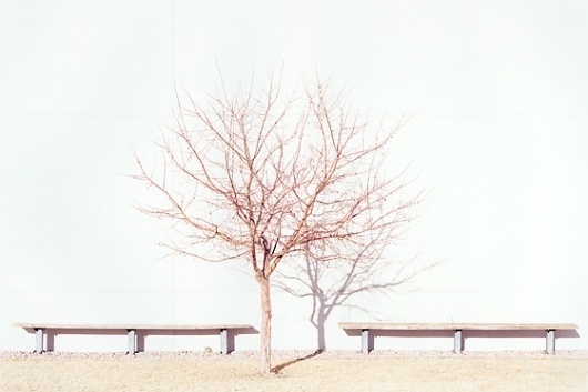 J Bennett Fitts Photography #landscaping #j #bennett #fitts #photography #industrial