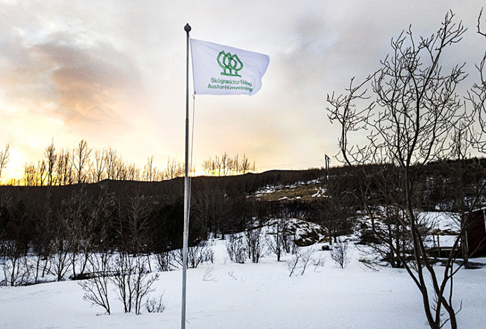 Skógræktarfélag Austur-Húnvetninga by Ragnar Freyr #logo #symbol #mark #flag
