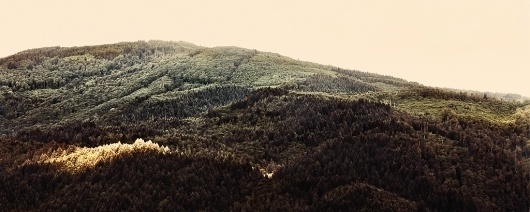 mai11_08.jpg (JPEG-Grafik, 1024x410 Pixel) #pach #jochen #retro #black #sundown #wood #forest #trees