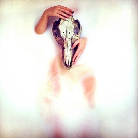 FFFFOUND! | I need a guide: sarah ann loreth #art