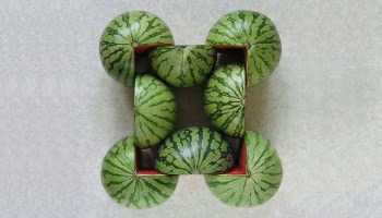 Geometric Fruits & Veggies Photo Series