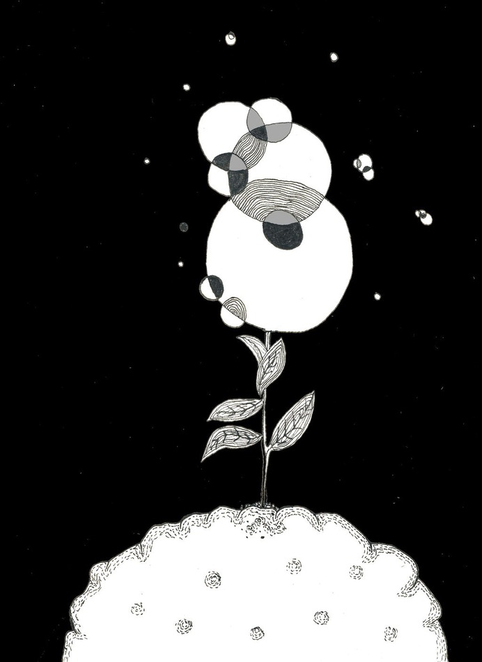 Sprout by Sven-Erik