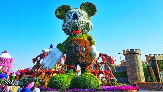 Mickey Mouse - Topiary art at the Dubai Miracle Garden. It is the tallest topiary art in the world and it is also recognized by the Guinness World Records as well.