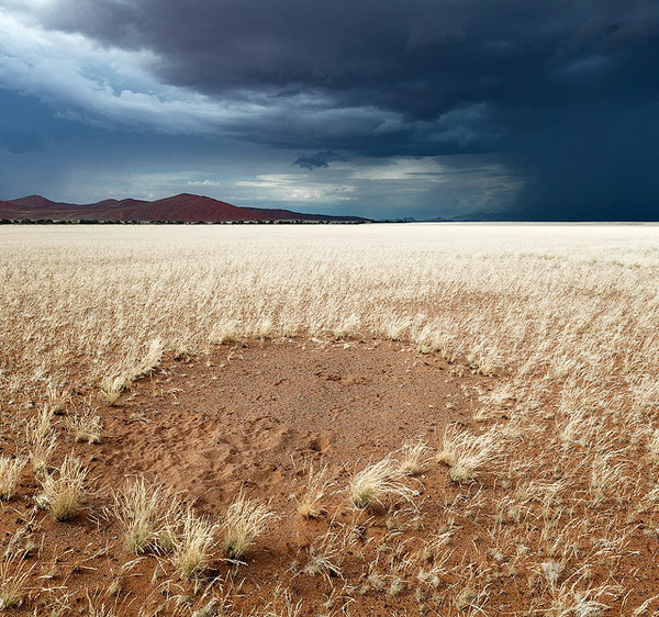 The Namibian Desert by Hougaard Malan #inspiration #photography #nature