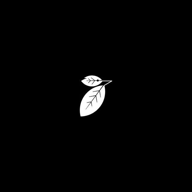 #woodpecker #leaf #logo #pharmacy https://www.behance.net/gallery/46625405/logofolio-2016