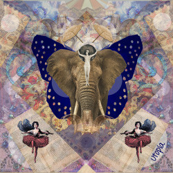 Le Fabuleux Monde du Cirque I | (2014) www.facebook.com/persistenteutopia #artwork #collageartist #digitalcollage #art