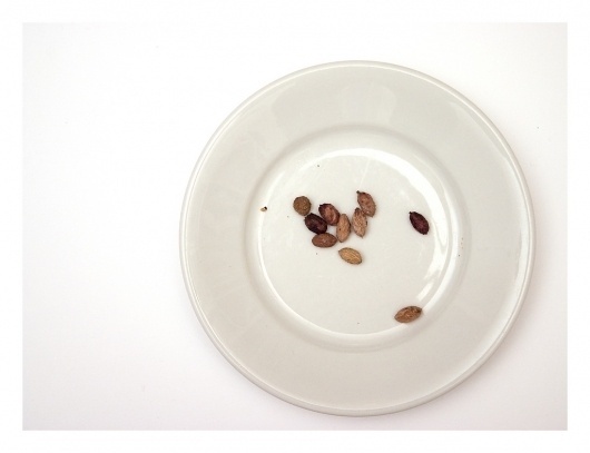 c4 | Flickr – Condivisione di foto! #white #conceptual #food #photography #minimal #still #life