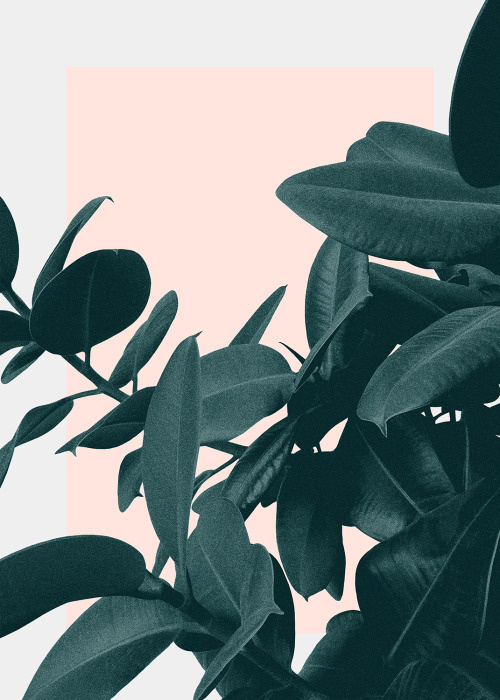 Foliage - Hanna Kastl-Lungberg