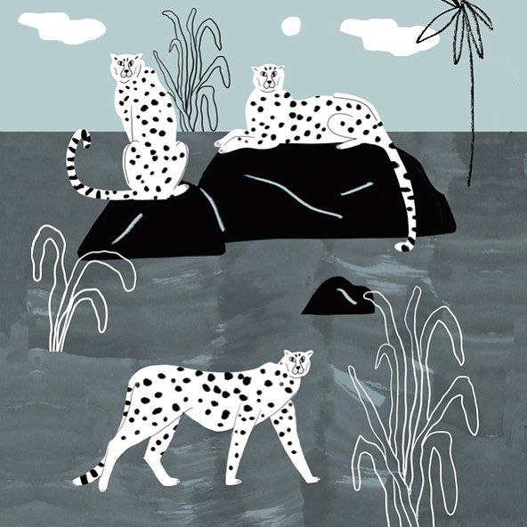 three cheetahs🐆🐆🐆, artwork from my tropicana edition, numbered and signed, fine art pigment print on 300g hahnemuehle paper, 21x30 cm, A3 size digital print also available at human empire @humanempire . . . . . #tropicana #tropical #jungle #cheetah #cheetahs #jungle #fineartprints #illustration #illustagram #🐆 #botanical #botanicalbeauty #print #🐆🐆🐆 #carolinloebbert #botanicalart #three #nature #naturelove