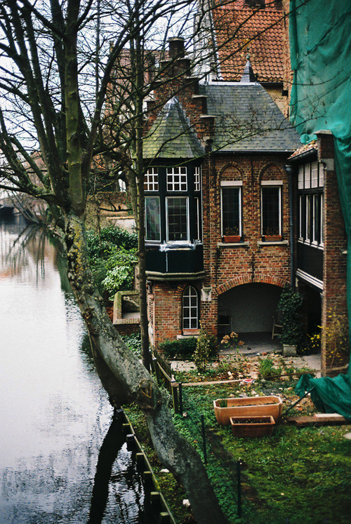 (2) Tumblr #home