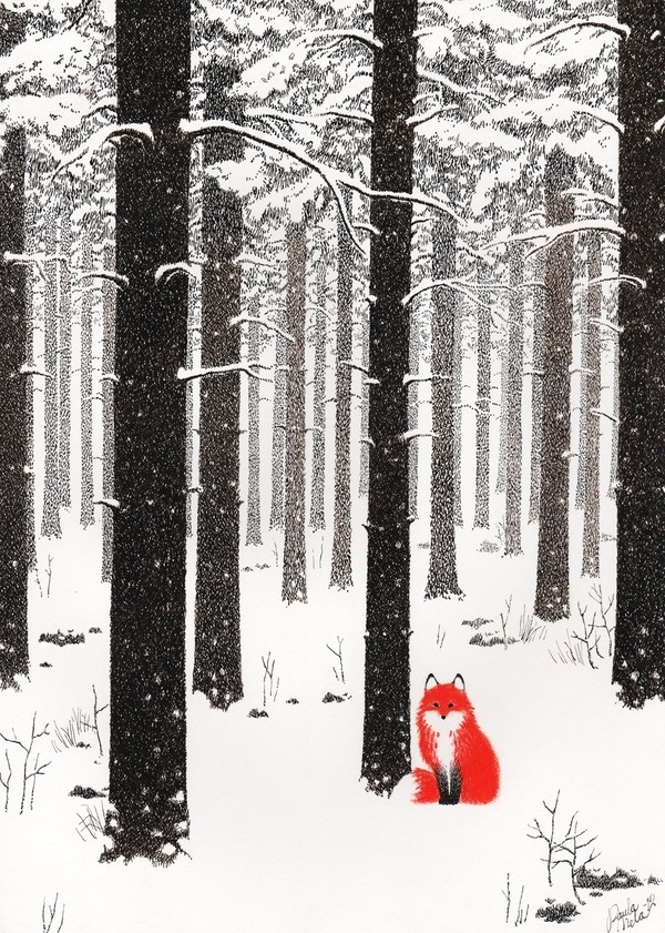fox - Paula Mela Illustration