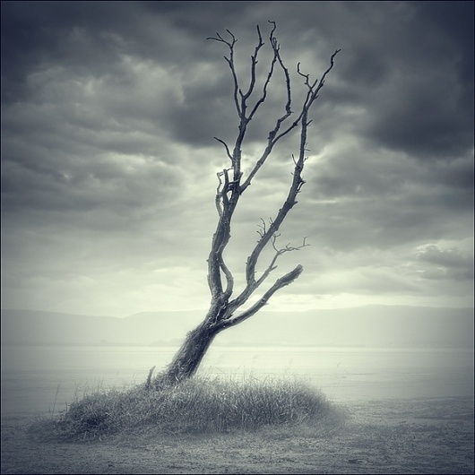 Open Eye Photography Blog #photography